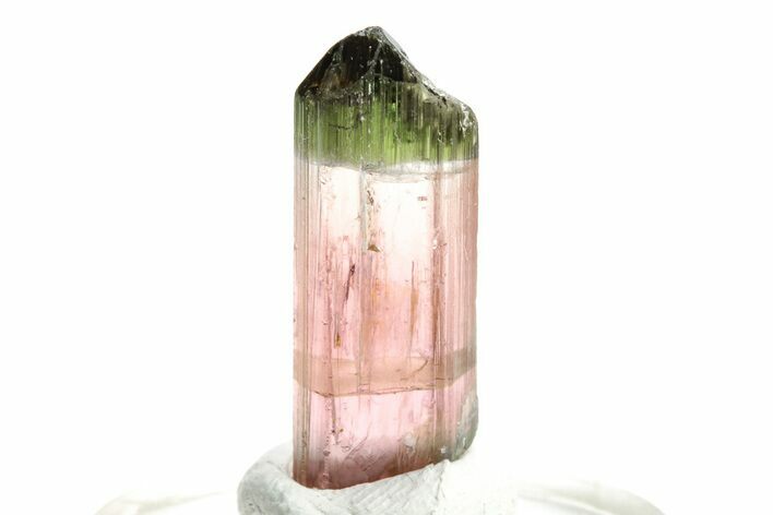 Bi-Colored Elbaite Tourmaline Crystal - Rubaya, Congo #206881